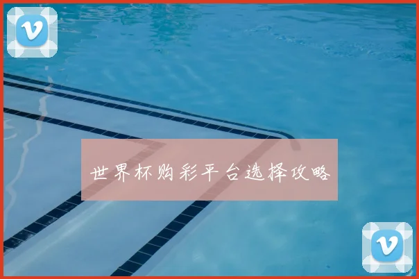 世界杯购彩平台选择攻略