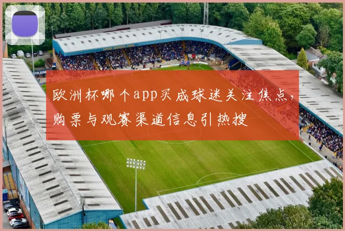 欧洲杯哪个app买成球迷关注焦点，购票与观赛渠道信息引热搜