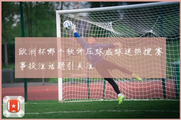 欧洲杯哪个软件压球成球迷热搜 赛事投注话题引关注