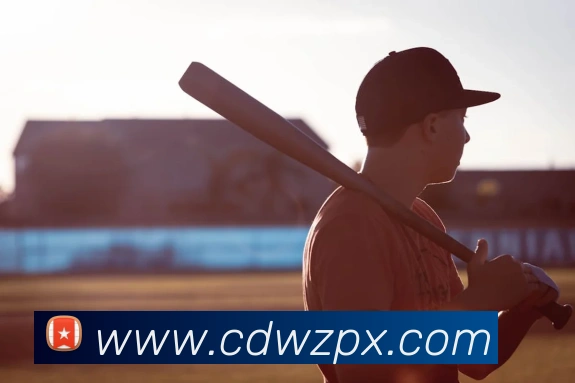 世界杯开户平台平台生态图